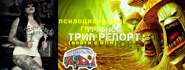 герыч Тавда