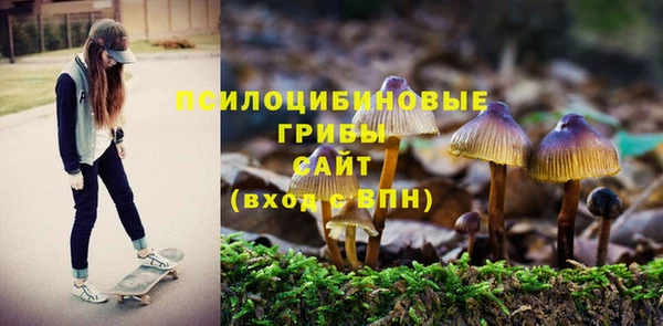 кокаин Дубовка