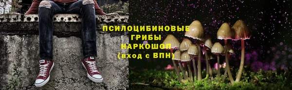 гидра Сясьстрой