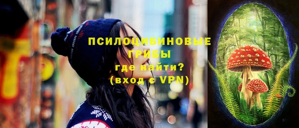прущие грибы Чекалин