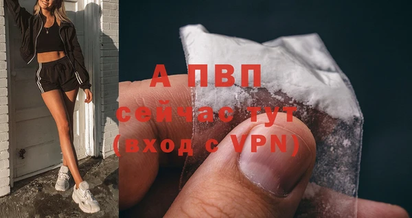 mdma Тайга