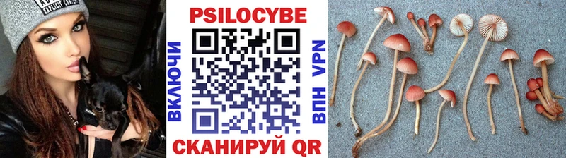 Галлюциногенные грибы GOLDEN TEACHER  Суоярви 